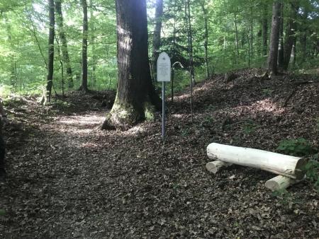 Pot zgovorne tišine 1